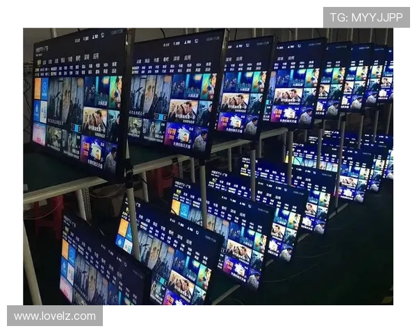 体育赛事赞助权益执行监控体系